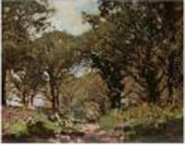 Woodland Path - view 1