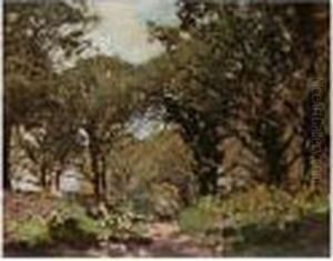 Woodland Path