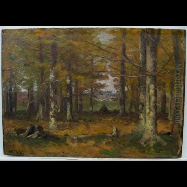 Woods At Noon - view 1
