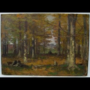 Woods At Noon by Homer Ransford Watson