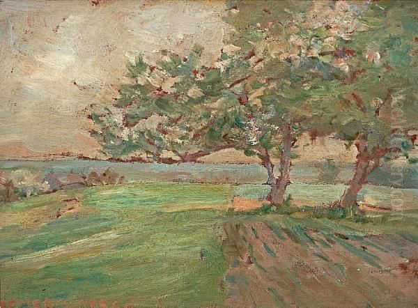 A View Of The Lake From The Orchard - view 1