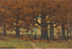 Figure On A Woodland Path