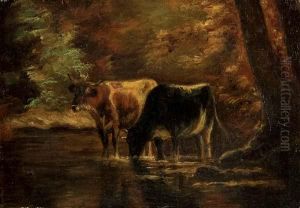 Two Cattle By A Stream.