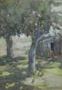 A Sun-dappled Farmyard A Sun-dappled Farmyard