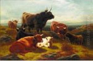 Highland Cattle Highland Cattle