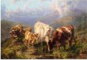 Cattle Watering Cattle Watering