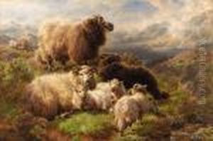 Sheep On The Mountains, Loch Tay Sheep On The Mountains, Loch Tay