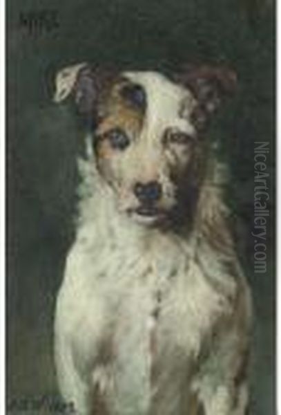 Mike A Terrier - view 1