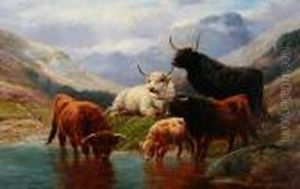 Highland Cattle Watering By A Loch Side