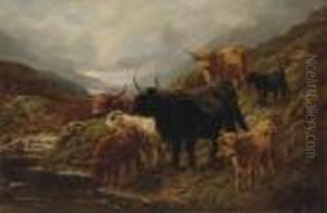 Evening In The Glen