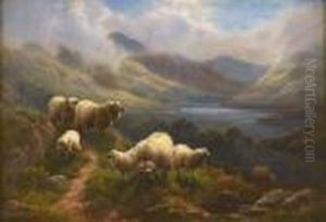 Sheep In A Mountain Pass