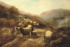 Shepherd Gathering His Flock