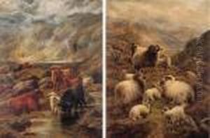 Highland Cattle Watering; And Sheep By A Loch
