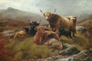 Highland Cattle And Calves In A Landscape
