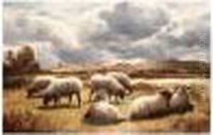 Sheep Grazing