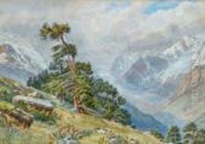 Paysage Alpestre
