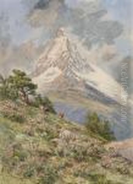 The Matterhorn From Riffel Alp - view 1