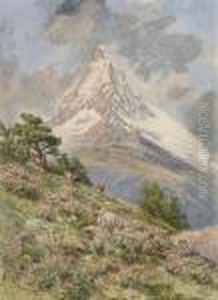 The Matterhorn From Riffel Alp