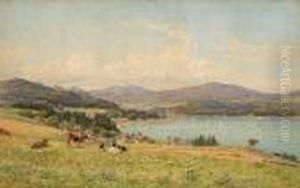 A Summer Day, Murray Bay