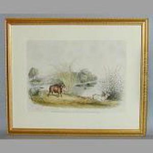 The African Wild Boar by William Harris Weatherhead