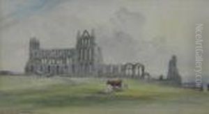 Cattle At Whitby Abbey Cattle At Whitby Abbey