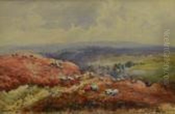 Moorland Scene With Sheep - view 1