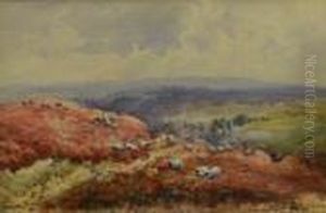 Moorland Scene With Sheep Moorland Scene With Sheep