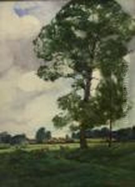Trees In Landscape - view 1