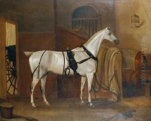 Horses In A Stable