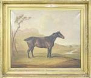 A Portrait Of A Horse In A Landscape