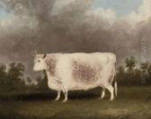A White Prize Bull by Thomas Weaver