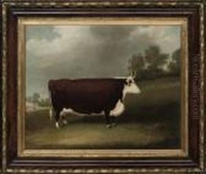 The Prize Bull