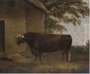 Prizefighter Bull by Thomas Weaver