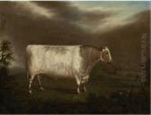The Shorthorn Bull, Comet