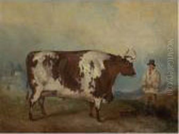 Durham Ox by Thomas Weaver