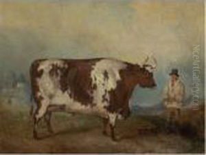 Durham Ox