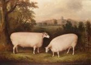Two Leicester Rams In A Landscape