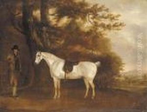 A Saddled Grey Hunter With Groom