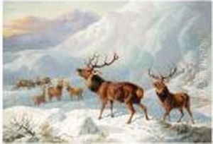Stags In Highland Snow by Byron Webb