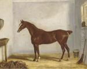 A Chestnut Hunter In A Stable by William Webb