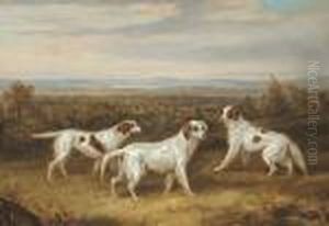Three Setters In A Landscape