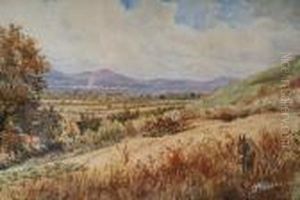 'wicklow Hills And Plains Of Kildare Fromcobbler's Castle, Queens County', Ireland by John Webber