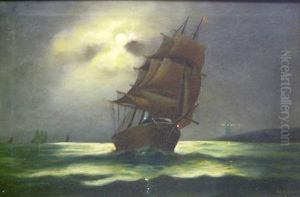Moonlight Sail