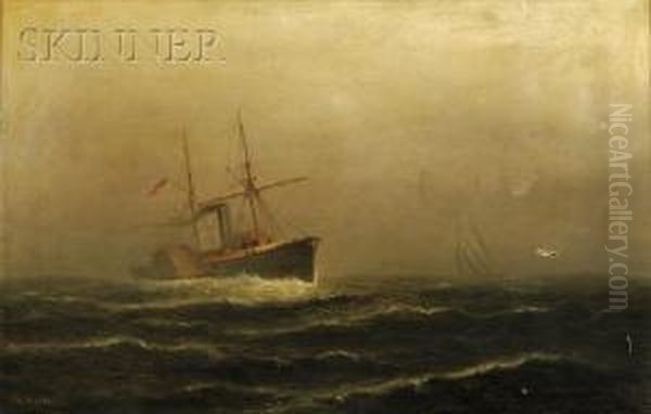 Paddle Steamer - view 1
