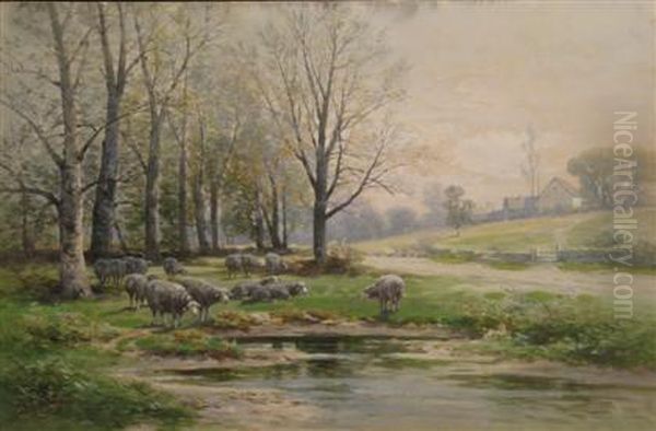 Grazing Sheep - view 1