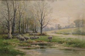 Grazing Sheep