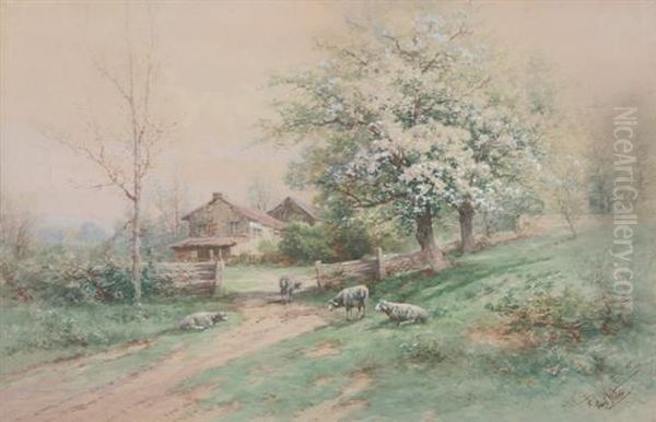 Cottage With Sheep - view 1