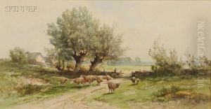 Landscape With Grazing Sheep
