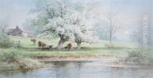 Cows Grazing At Pond