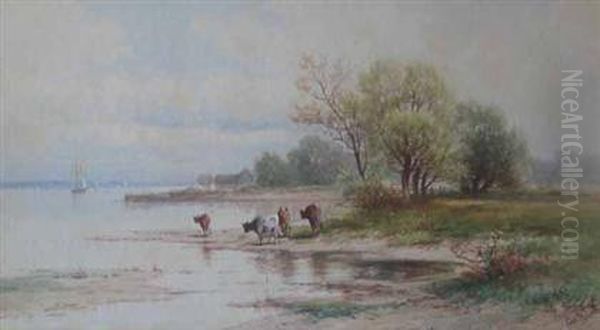 Coastline With Cattle - view 1